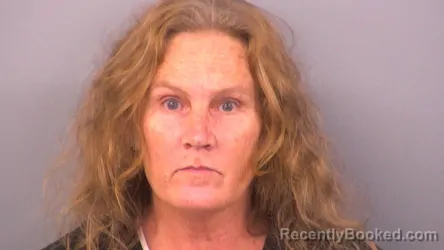 Mugshot of CRYSTAL GAYLE BRINKLEY