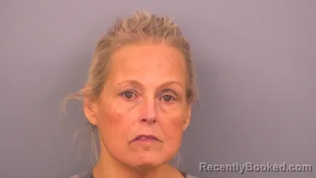 Mugshot of LISA L BAIRD