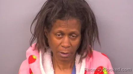 Mugshot of DEBBIE Y HAYES