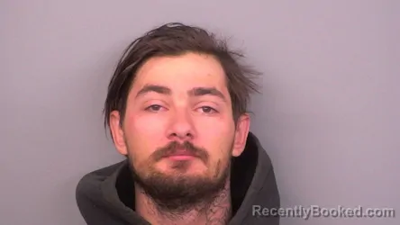 Mugshot of DANIEL BRYANT POLASEK