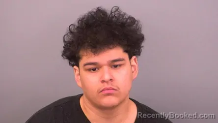 Mugshot of CHRIS JEFFERSON CALIX