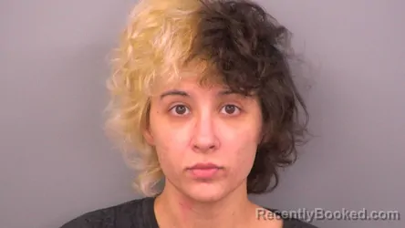 Mugshot of ROWAN LAY-SOLACE