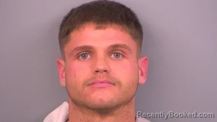 Mugshot of NICOLAAS LANE RITZKO