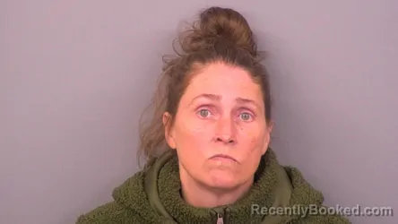 Mugshot of DIANE R HANES