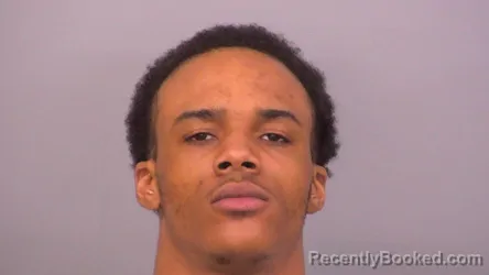 Mugshot of JAMES TREMELL JOHNSON