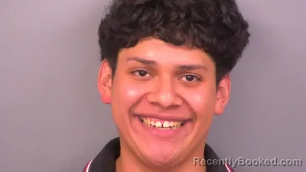 Mugshot of ANDRE LAINEZ MARTINEZ