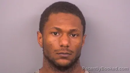 Mugshot of BRIAN BERNARD HAMILTON