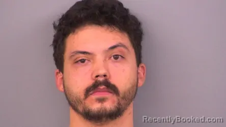 Mugshot of DEVIN M PAGBURN