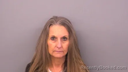 Mugshot of TAMMY RENEE HOLLINGSWORTH