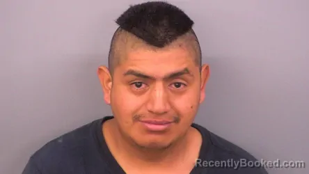 Mugshot of BRYAN FELICIANO