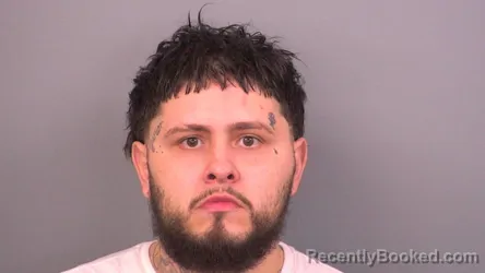 Mugshot of GABRIEL MURILLO