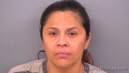 Mugshot of EVELIA C MAPEL - LOZADA booked in Sumner County, Tennessee on June 26, 2026