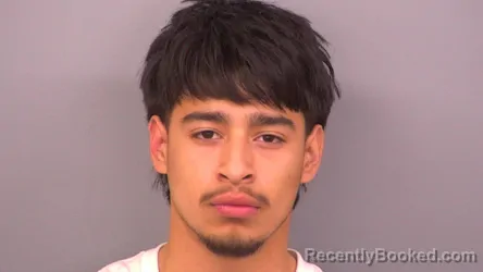 Mugshot of RONELL CASTRO-FAJARDO booked in Sumner County, Tennessee on April 4, 2026