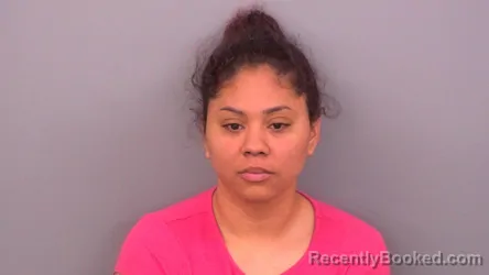 Mugshot of INGRIS RAMOS CASTRO booked in Sumner County, Tennessee on April 23, 2026