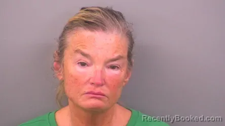 Mugshot of LISA C MADDOX booked in Sumner County, Tennessee on April 28, 2026