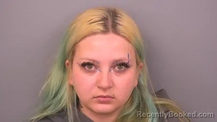Mugshot of RAVEN ALEXANDRIA FALKENBACH booked in Sumner County, Tennessee on May 13, 2026
