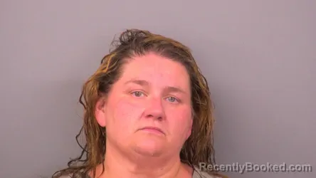 Mugshot of JAMEY NAOMI SOLANO booked in Sumner County, Tennessee on June 22, 2026