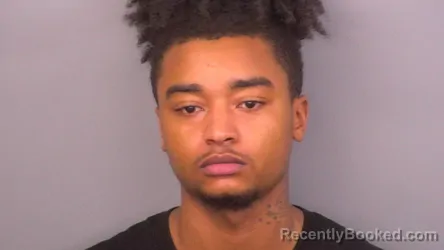 Mugshot of ZION PORTER booked in Sumner County, Tennessee on July 5, 2026