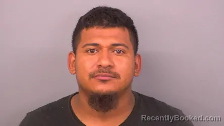 Mugshot of ELVIN JAVIER BENITEZ-URBINA booked in Sumner County, Tennessee on July 9, 2026