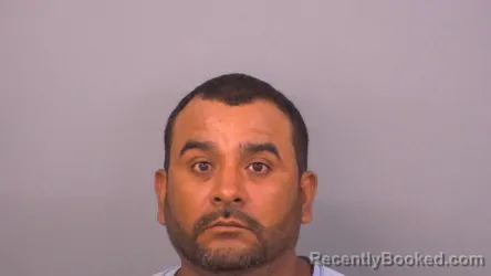 Mugshot of Jaime Saucedo Cain booked in Sumner County, Tennessee on July 27, 2026