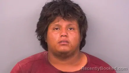 Mugshot of Rafael De Jesus Hernandez Ticas booked in Sumner County, Tennessee on August 15, 2026