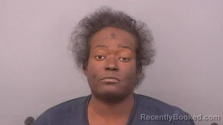 Mugshot of Lavosier L Johnson booked in Sumner County, Tennessee on August 19, 2026
