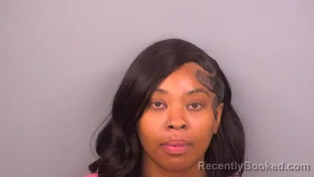 Mugshot of Janet L Hayes booked in Sumner County, Tennessee on September 15, 2026