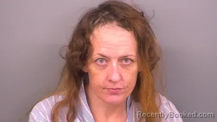 Mugshot of STEPHANIE RENEE AKINS