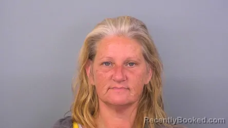 Mugshot of SHELLY RENEE BANKS booked in Sumner County, Tennessee on April 18, 2026