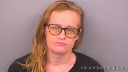 Mugshot of ASHLEY MICHELLE DONNESTAD