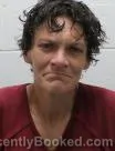 Mugshot of Krystal Nadine Effrick booked in Washington County, Tennessee on August 22, 2026