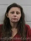 Mugshot of Michelle Diana Hoss booked in Washington County, Tennessee on September 25, 2026