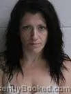 Mugshot of Kristen Fay D Snyder booked in Washington County, Tennessee on July 30, 2026