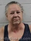 Mugshot of Maryanna Yevonna Cook booked in Washington County, Tennessee on August 13, 2026