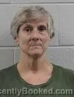 Mugshot of Pamela Sue Casey booked in Washington County, Tennessee on August 9, 2026