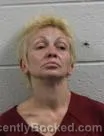 Mugshot of Vanessa Elizabeth Mccoy booked in Washington County, Tennessee on July 30, 2026