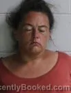 Mugshot of Tiffany Paige Roberts booked in Washington County, Tennessee on July 30, 2026