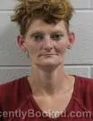 Mugshot of Dana Nicole Gonazlez booked in Washington County, Tennessee on August 21, 2026