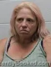 Mugshot of Melissa Leandre Gunter booked in Washington County, Tennessee on August 7, 2026