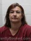 Mugshot of Crystal Renee Haynes booked in Washington County, Tennessee on August 20, 2026