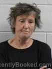 Mugshot of Alicia L Peters booked in Washington County, Tennessee on October 2, 2026