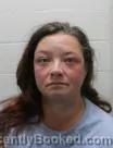 Mugshot of Brandy Nicole Mosier booked in Washington County, Tennessee on August 22, 2026