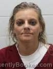 Mugshot of Crystal Dawn Sluder booked in Washington County, Tennessee on July 31, 2026
