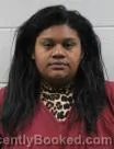 Mugshot of Danika Renee Hamilton booked in Washington County, Tennessee on August 2, 2026