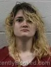Mugshot of Adelle Lyn Sarant booked in Washington County, Tennessee on October 6, 2026