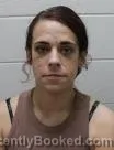 Mugshot of Haleigh S Erwin booked in Washington County, Tennessee on August 17, 2026