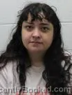 Mugshot of Lillie Anna Perez booked in Washington County, Tennessee on August 2, 2026