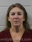 Mugshot of Lyn Marie Cicchetto booked in Washington County, Tennessee on August 14, 2026