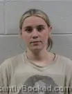 Mugshot of Natalie Marie Mcginnis booked in Washington County, Tennessee on August 1, 2026