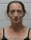 Mugshot of Sonya Lou Powers booked in Washington County, Tennessee on August 2, 2026